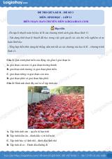 Đề kiểm tra giữa kì 2 Sinh 11 - Đề số 3 có lời giải chi tiết